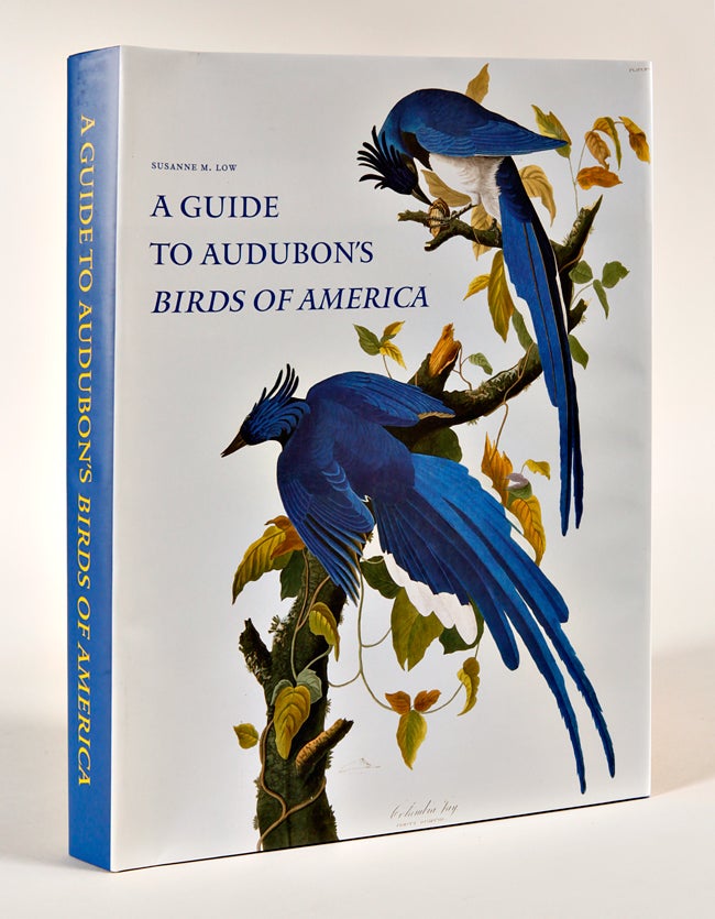 Item #WRCAM32756 A GUIDE TO AUDUBON'S Birds of America. Susanne M. Low.
